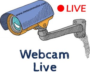 Webcam live diretta
